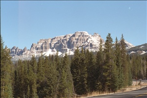 IMG0017.jpg