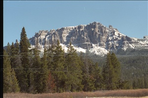 IMG0019.jpg