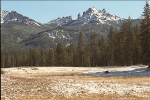 IMG0020.jpg
