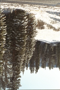 IMG0021.jpg