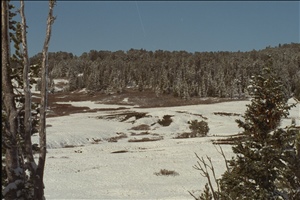 IMG0022.jpg
