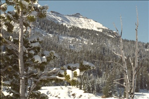 IMG0024.jpg