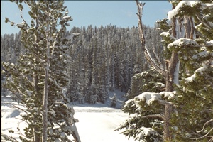 IMG0025.jpg
