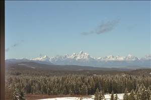IMG0027.jpg