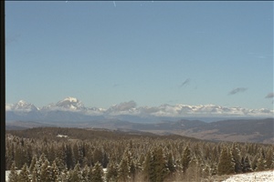 IMG0028.jpg