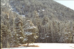 IMG0030.jpg