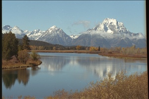 IMG0033.jpg