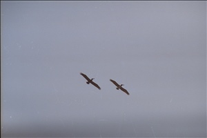 IMG0037.jpg