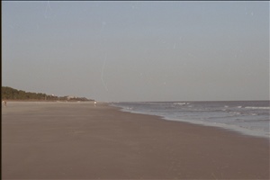 IMG0038.jpg