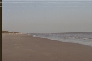 IMG0039.jpg
