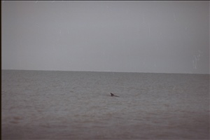 IMG0040.jpg