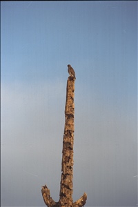 IMG0046.jpg