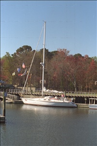 IMG0047.jpg