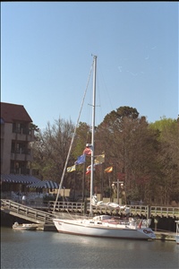 IMG0048.jpg