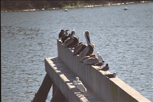 IMG0049.jpg