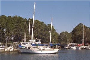 IMG0050.jpg