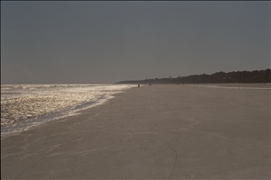 IMG0052.jpg