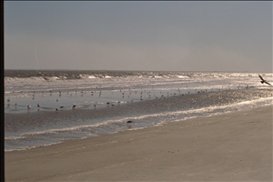IMG0053.jpg