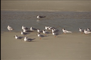 IMG0056.jpg