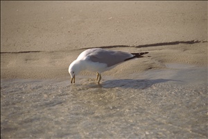 IMG0058.jpg