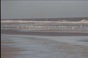 IMG0059.jpg