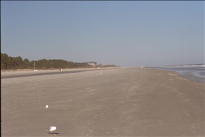 IMG0062.jpg