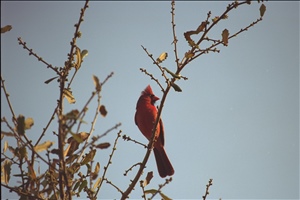 IMG0079.jpg