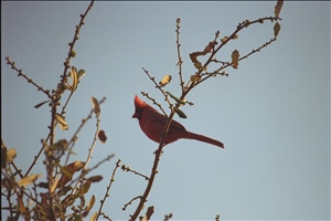 IMG0080.jpg