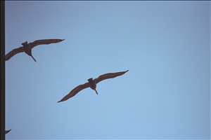 IMG0082.jpg