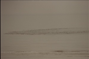 IMG0088.jpg