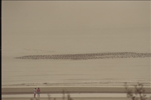 IMG0089.jpg