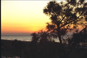 IMG0090.jpg