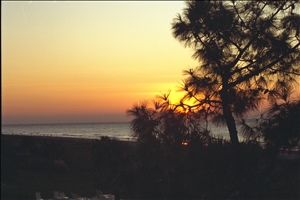 IMG0091.jpg