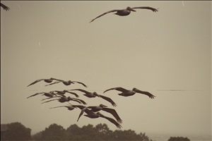IMG0092.jpg