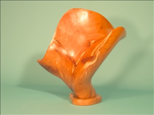 dcim0016.jpg