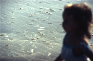scan437.jpg