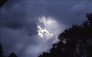 scan627.jpg