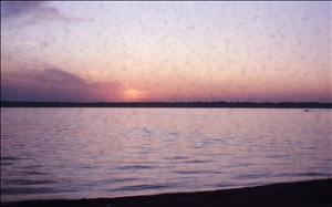 scan635.jpg