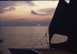 scan639.jpg