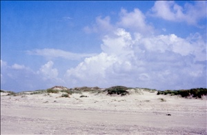 scan647.jpg