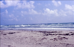 scan650.jpg