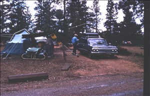 scan479.jpg