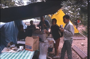 scan480.jpg
