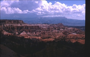 scan481.jpg