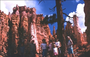 scan484.jpg