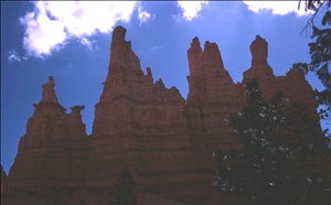 scan486.jpg