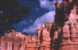 scan488.jpg