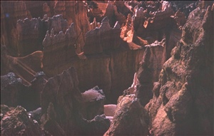 scan491.jpg