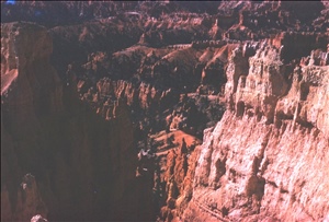 scan492.jpg