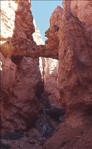 scan499.jpg